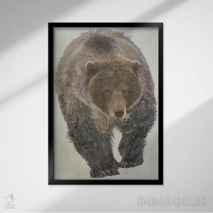 تابلو دکوراتیو خرس قهوه ای اثر کیم کورینگا - نمای قابدار مشکی