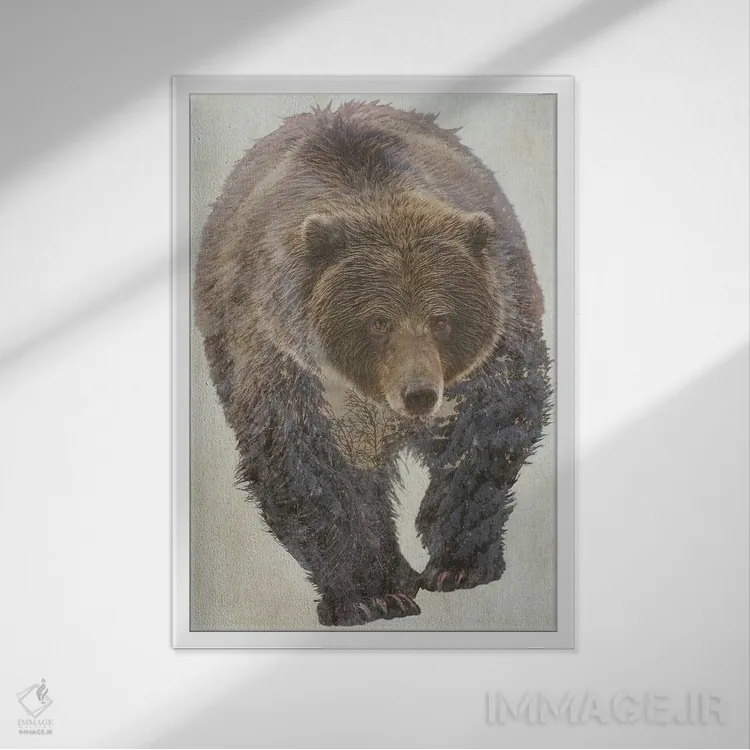 تابلو دکوراتیو خرس قهوه ای اثر کیم کورینگا - نمای قابدار سفید