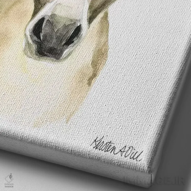 تابلو دکوراتیو الاغ اثر کیرستن دیل - نمای نزدیک بافت بوم