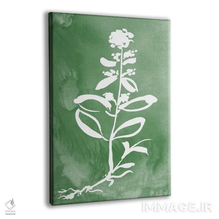 تابلو مینیمال گیاه سبز III اثر کلی دونوان - نمای پرسپکتیو محصول