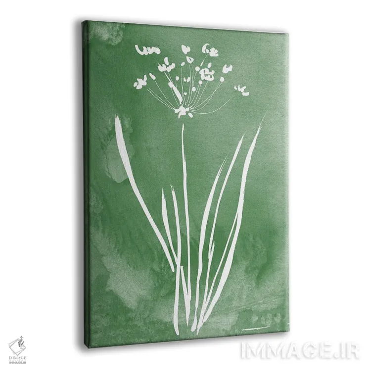 تابلو مینیمال گیاه سبز II اثر کلی دونوان - نمای پرسپکتیو محصول