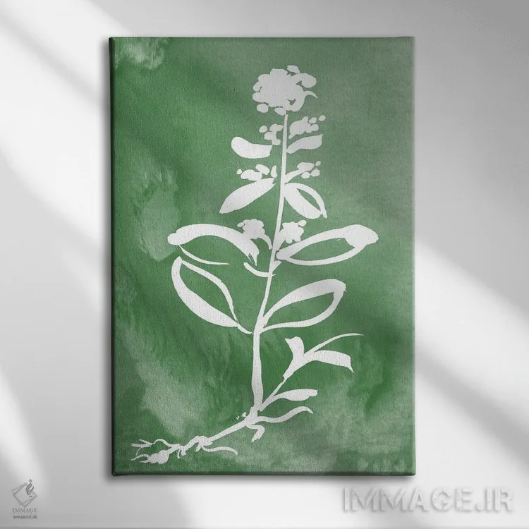 تابلو مینیمال گیاه سبز III اثر کلی دونوان - نمای روبهرو روی دیوار