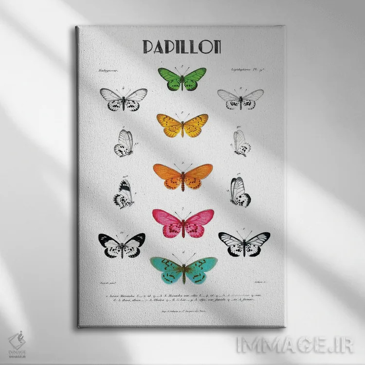 تابلو مینیمال پاپیون اثر کلی دونوان - نمای روبهرو روی دیوار