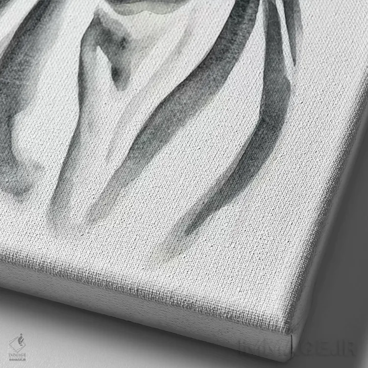 تابلو دکوراتیو گاو کاکتوسی اثر کیرستن دیل - نمای نزدیک بافت بوم