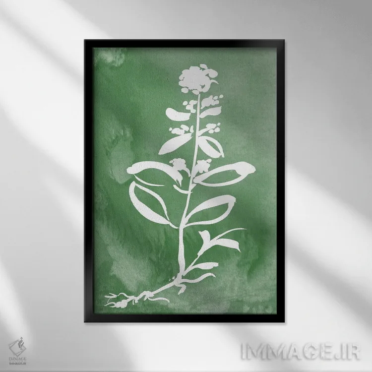 تابلو مینیمال گیاه سبز III اثر کلی دونوان - نمای قابدار مشکی