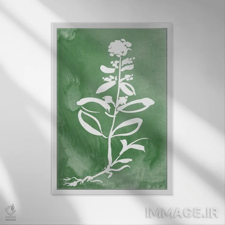 تابلو مینیمال گیاه سبز III اثر کلی دونوان - نمای قابدار سفید