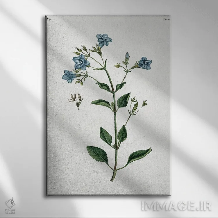 تابلو مدرن گیاه شیک روستایی II اثر کلی دونوان - نمای روبهرو روی دیوار