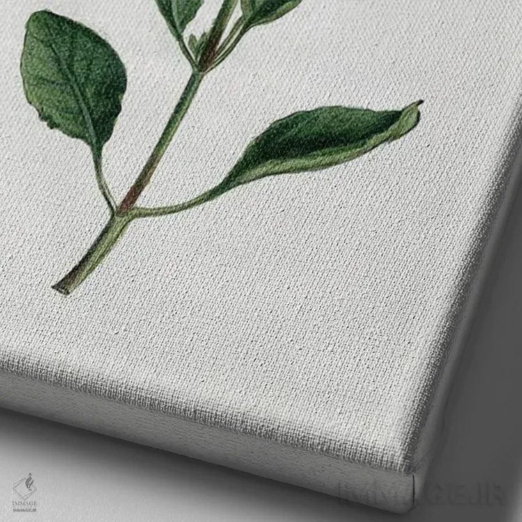 تابلو مدرن گیاه شیک روستایی II اثر کلی دونوان - نمای نزدیک بافت بوم