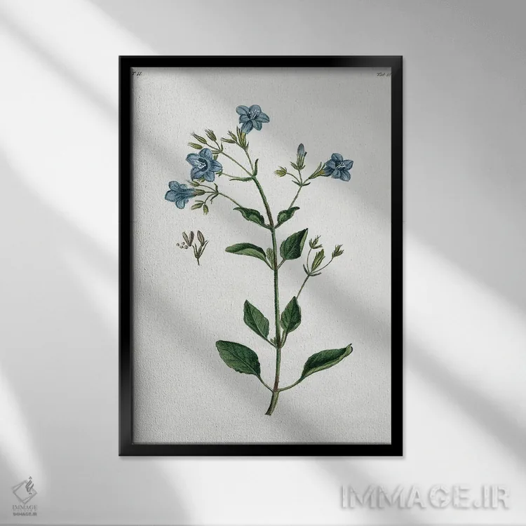 تابلو مدرن گیاه شیک روستایی II اثر کلی دونوان - نمای قابدار مشکی