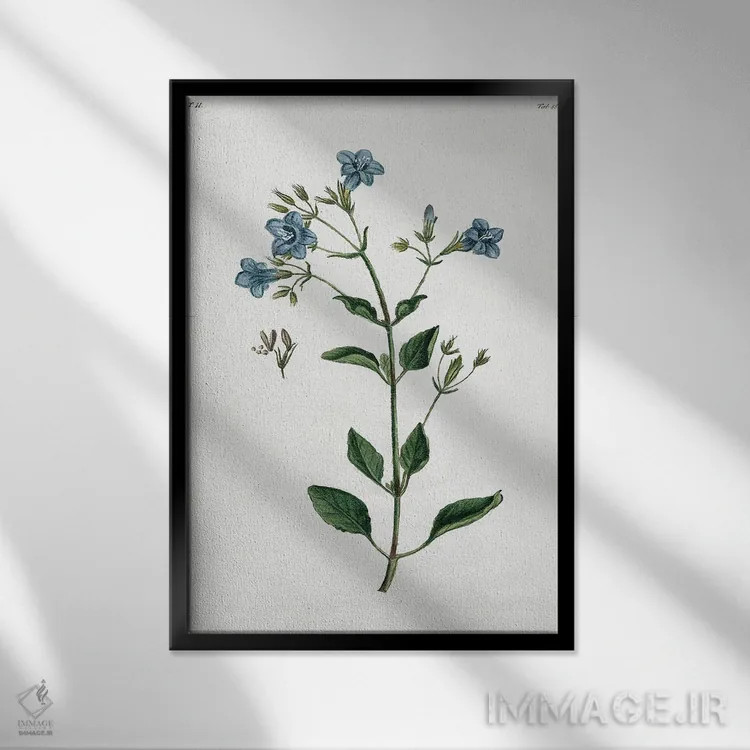 تابلو مدرن گیاه شیک روستایی II اثر کلی دونوان - نمای قابدار مشکی
