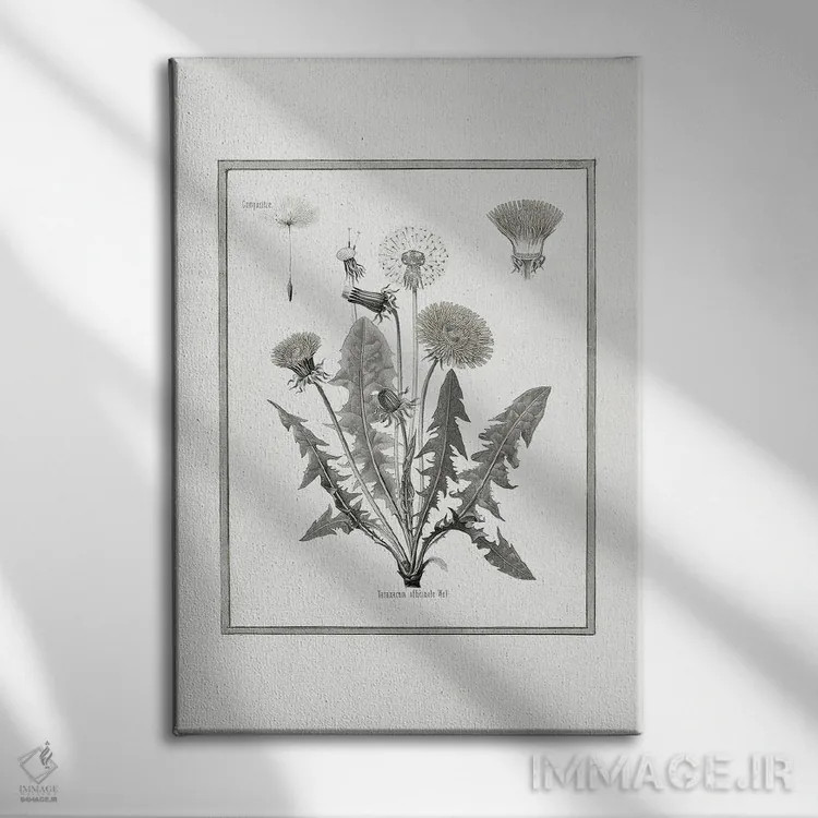 تابلو دکوراتیو قاصدک I اثر کلی دونوان - نمای روبهرو روی دیوار