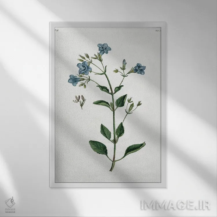 تابلو مدرن گیاه شیک روستایی II اثر کلی دونوان - نمای قابدار سفید