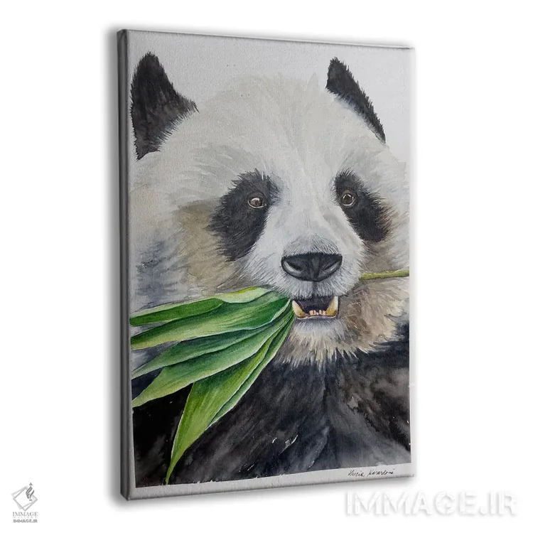 تابلو دکوراتیو پاندای گرسنه اثر لوسیا کازاردووا - نمای پرسپکتیو محصول