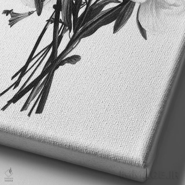 تابلو مدرن گیاه سیاه و سفید III اثر کلی دونوان - نمای نزدیک بافت بوم