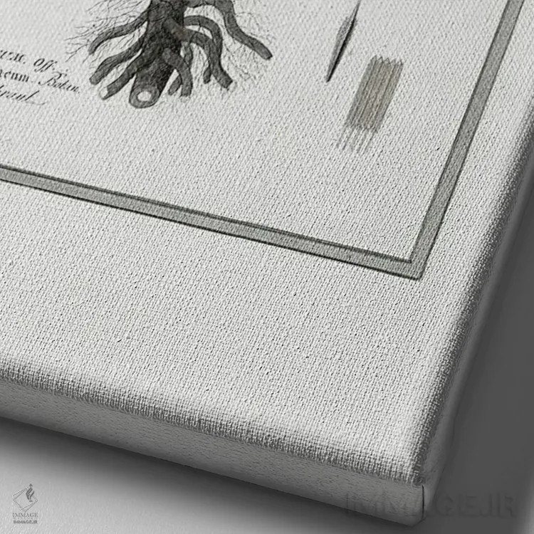 تابلو دکوراتیو قاصدک II اثر کلی دونوان - نمای نزدیک بافت بوم