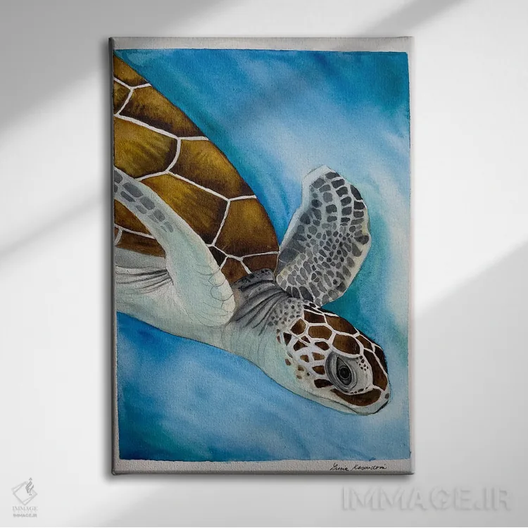 تابلو دکوراتیو لاک پشت شناگر اثر لوسیا کازاردووا - نمای روبهرو روی دیوار