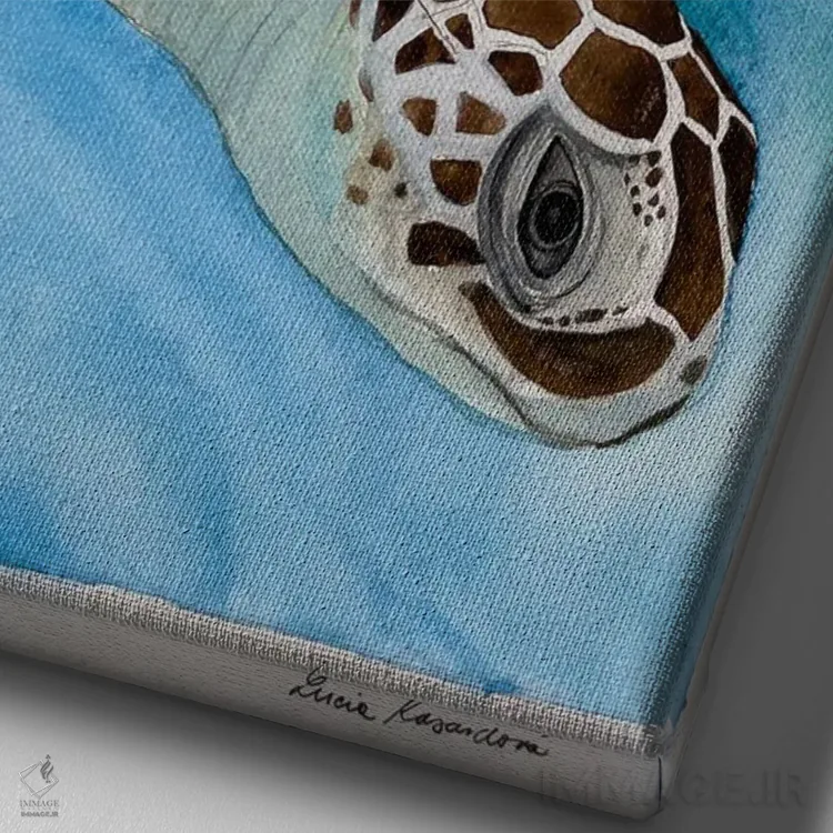 تابلو دکوراتیو لاک پشت شناگر اثر لوسیا کازاردووا - نمای نزدیک بافت بوم