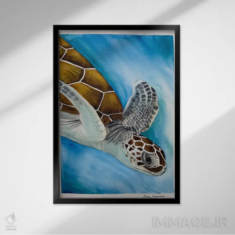 تابلو دکوراتیو لاک پشت شناگر اثر لوسیا کازاردووا - نمای قابدار مشکی