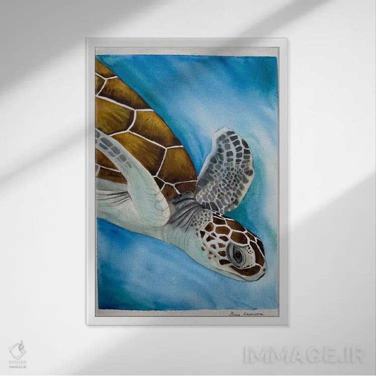 تابلو دکوراتیو لاک پشت شناگر اثر لوسیا کازاردووا - نمای قابدار سفید