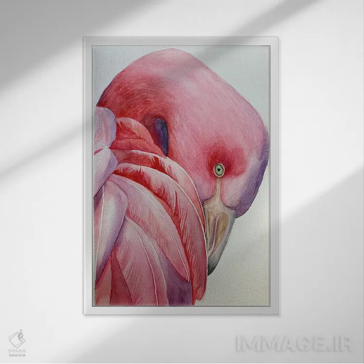 تابلو دکوراتیو فلامینگوی صورتی اثر لوسیا کازاردووا - نمای قابدار سفید