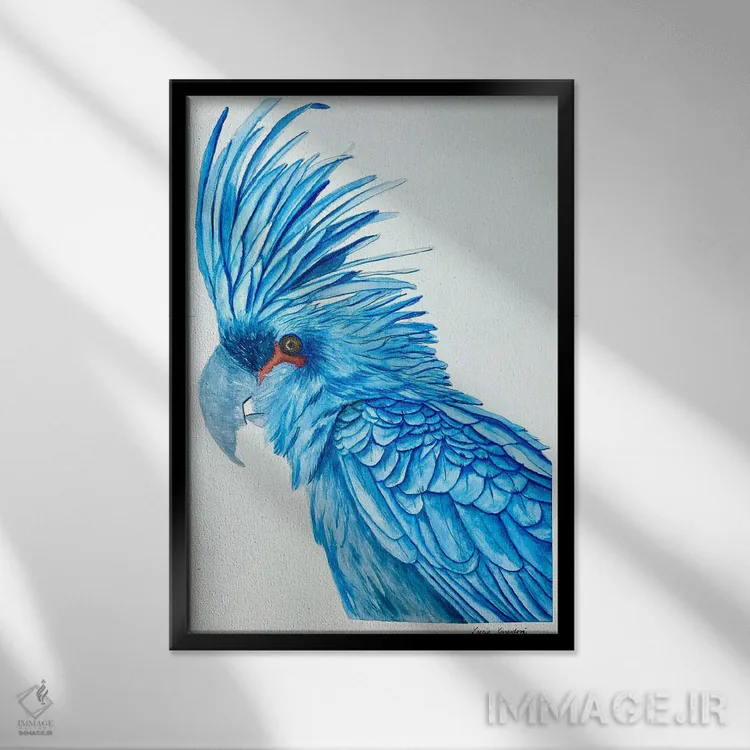 تابلو دکوراتیو مکائوی آبی اثر لوسیا کازاردووا - نمای قابدار مشکی