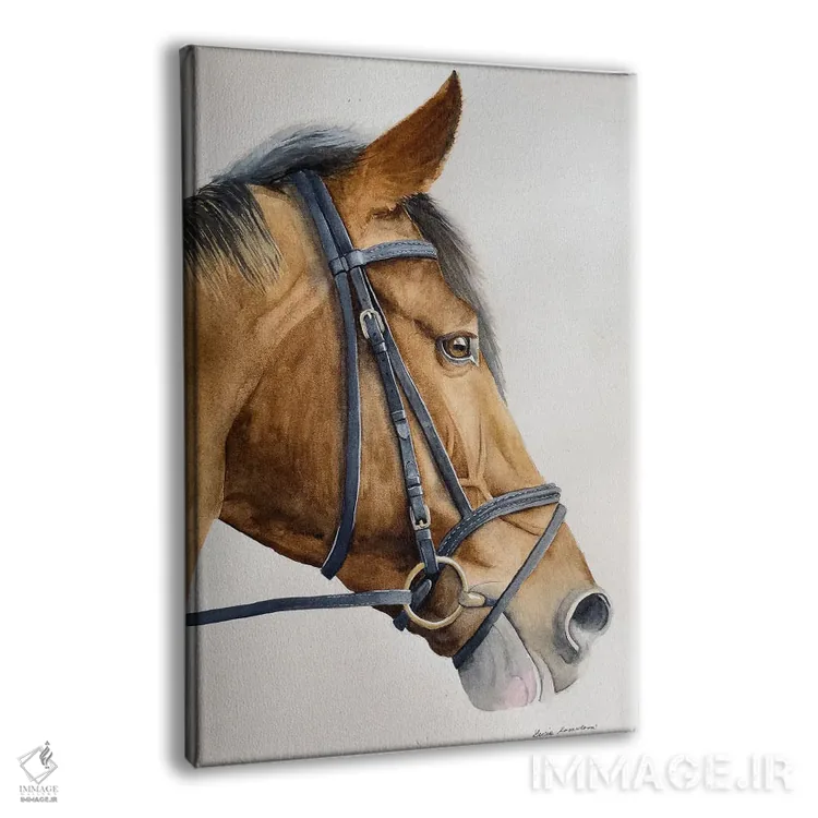 تابلو دکوراتیو اسب شاد اثر لوسیا کازاردووا - نمای پرسپکتیو محصول