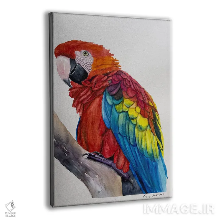 تابلو دکوراتیو مکائوی سرخ اثر لوسیا کازاردووا - نمای پرسپکتیو محصول