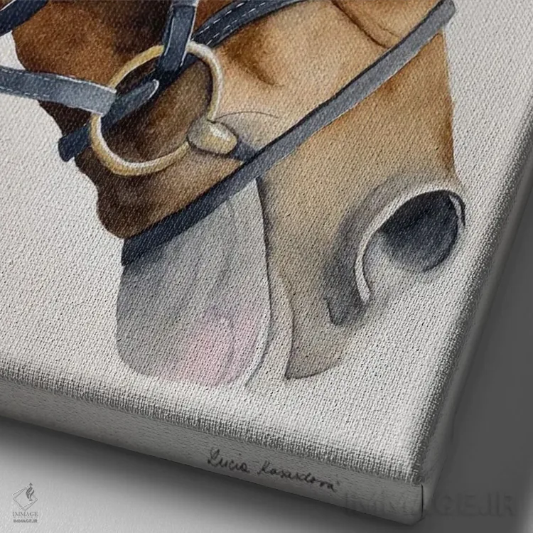 تابلو دکوراتیو اسب شاد اثر لوسیا کازاردووا - نمای نزدیک بافت بوم