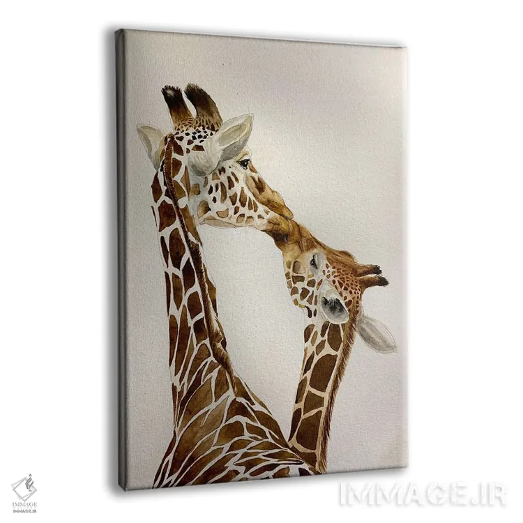 تابلو دکوراتیو گورخرهای در حال بوسه اثر لوسیا کازاردووا - نمای پرسپکتیو محصول