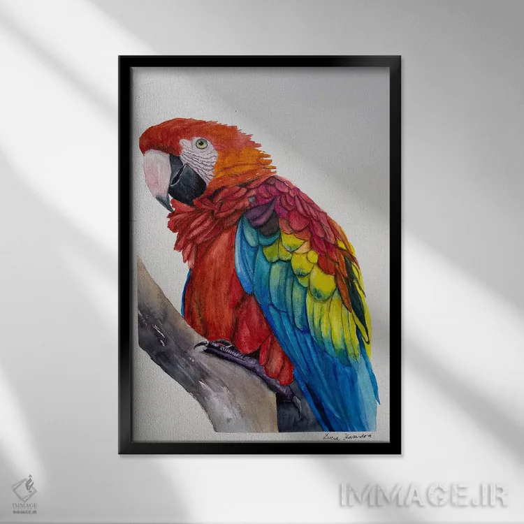 تابلو دکوراتیو مکائوی سرخ اثر لوسیا کازاردووا - نمای قابدار مشکی