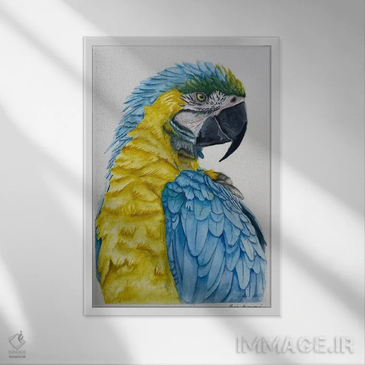 تابلو دکوراتیو طوطی آبی و زرد اثر لوسیا کازاردووا - نمای قابدار سفید