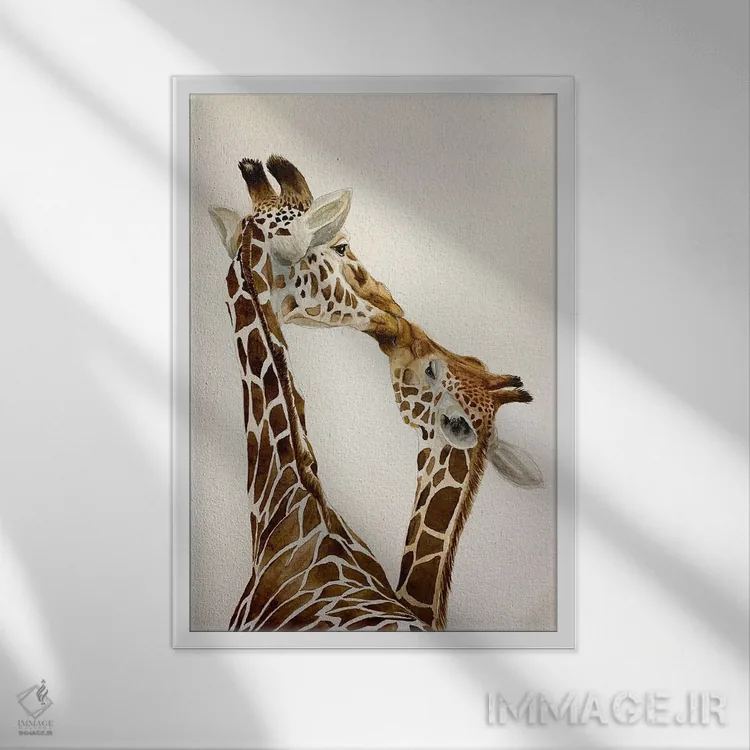 تابلو دکوراتیو گورخرهای در حال بوسه اثر لوسیا کازاردووا - نمای قابدار سفید