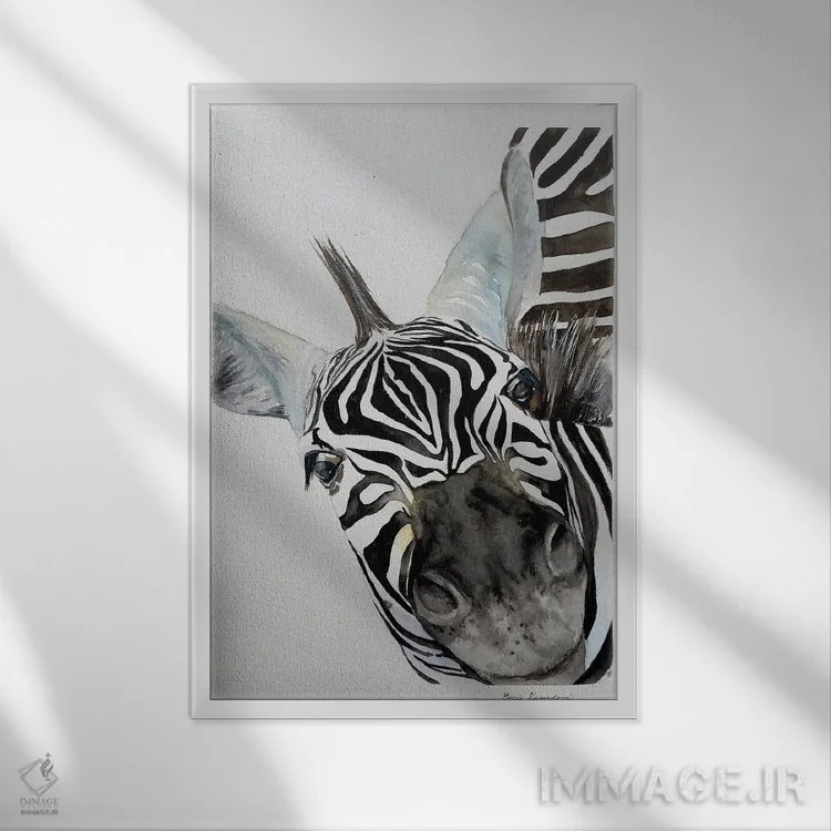 تابلو دکوراتیو بینی گورخر اثر لوسیا کازاردووا - نمای قابدار سفید