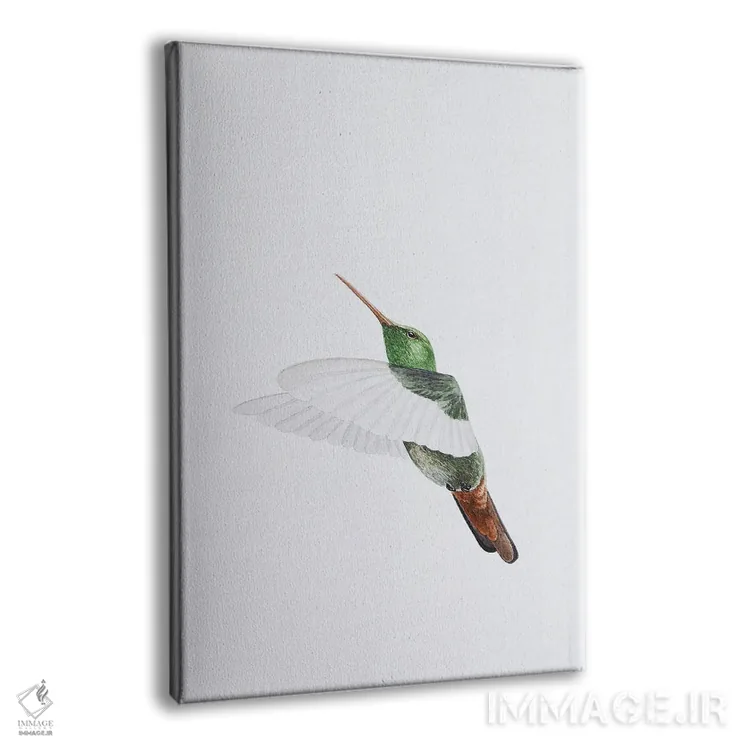 تابلو مینیمال پرواز مرغ مگس خوار اثر کارینا دانیلچوک - نمای پرسپکتیو محصول