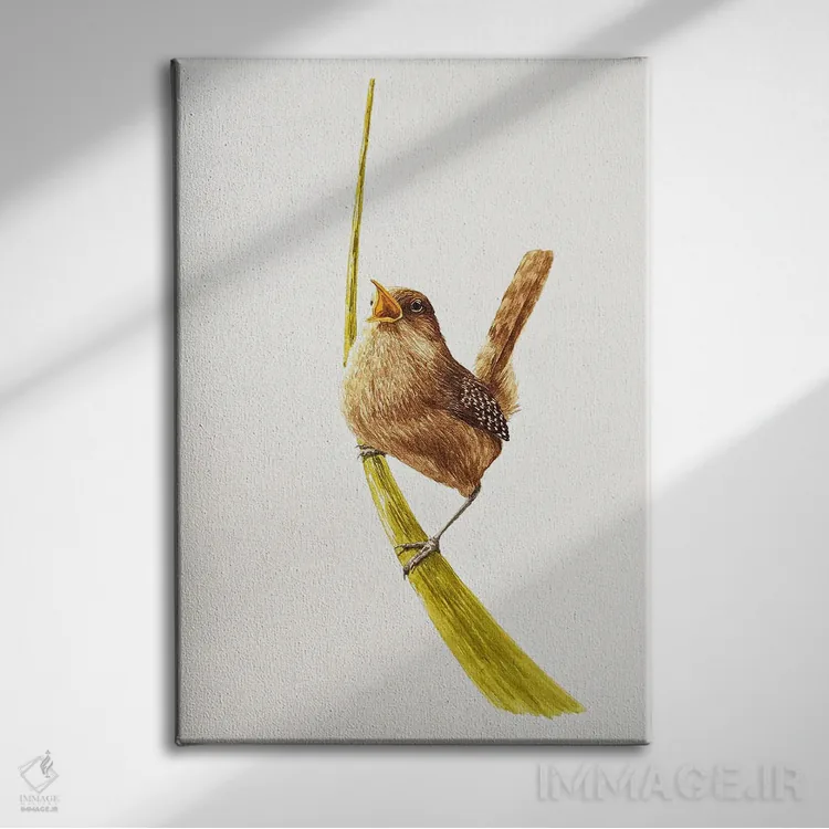 تابلو دکوراتیو فنچ پر سر و صدا اثر کارینا دانیلچوک - نمای روبهرو روی دیوار