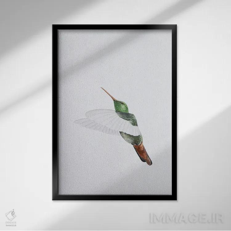 تابلو مینیمال پرواز مرغ مگس خوار اثر کارینا دانیلچوک - نمای قابدار مشکی