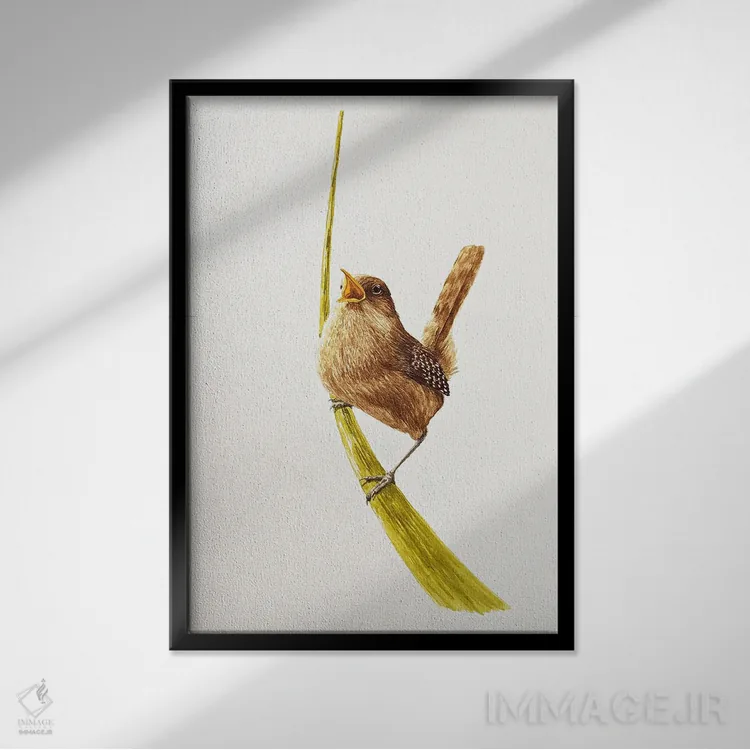تابلو دکوراتیو فنچ پر سر و صدا اثر کارینا دانیلچوک - نمای قابدار مشکی