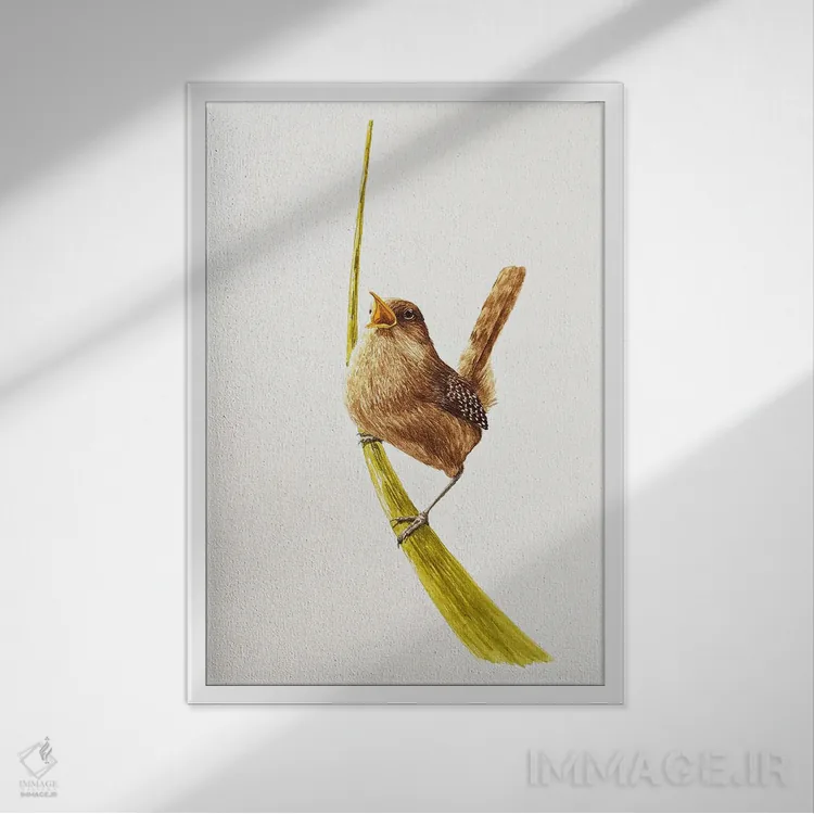 تابلو دکوراتیو فنچ پر سر و صدا اثر کارینا دانیلچوک - نمای قابدار سفید