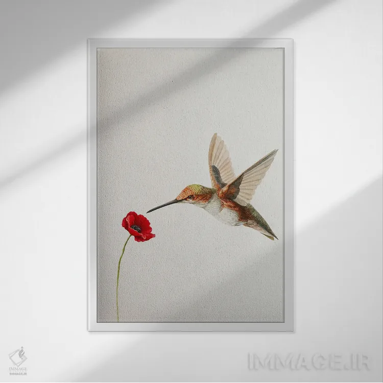 تابلو مینیمال مرغ مگس خوار با گل شقایق اثر کارینا دانیلچوک - نمای قابدار سفید