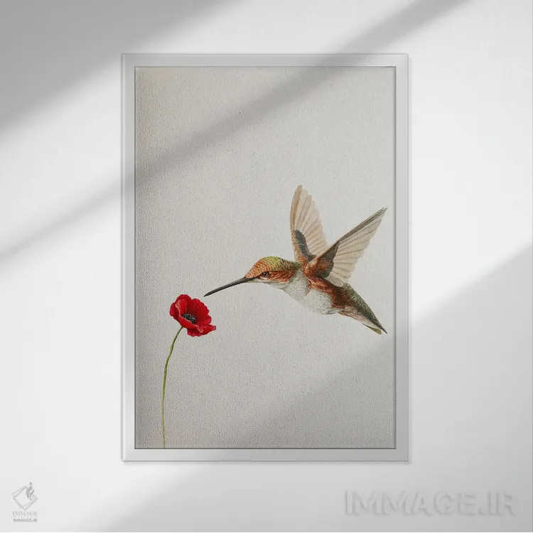 تابلو مینیمال مرغ مگس خوار با گل شقایق اثر کارینا دانیلچوک - نمای قابدار سفید