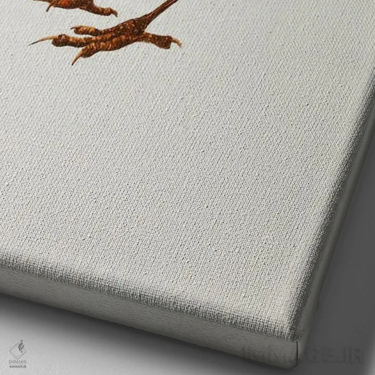 تابلو دکوراتیو سینه سرخ با کلاه اثر کارینا دانیلچوک - نمای نزدیک بافت بوم