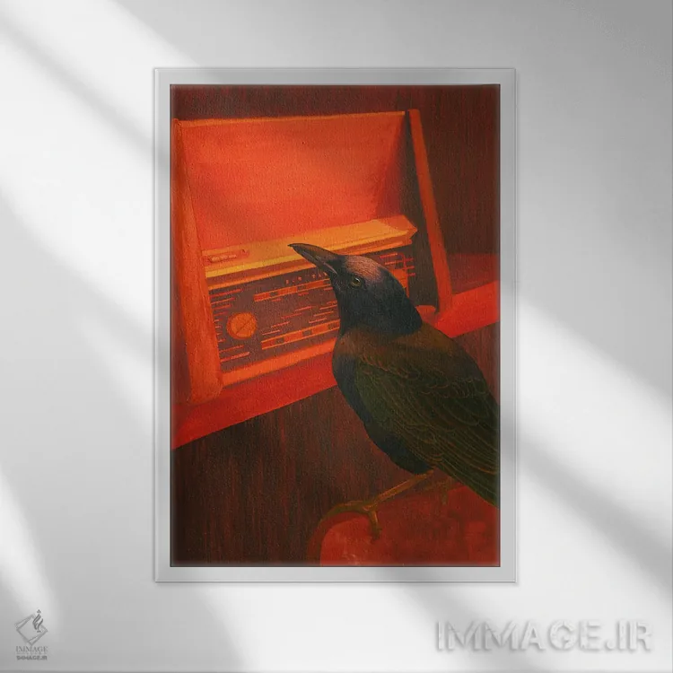 تابلو دکوراتیو رادیو اثر کارینا دانیلچوک - نمای قابدار سفید