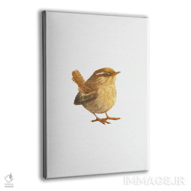 تابلو دکوراتیو فنچ کوچک اوراسیایی اثر کارینا دانیلچوک - نمای پرسپکتیو محصول