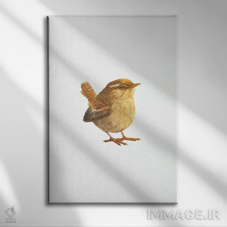 تابلو دکوراتیو فنچ کوچک اوراسیایی اثر کارینا دانیلچوک - نمای روبهرو روی دیوار