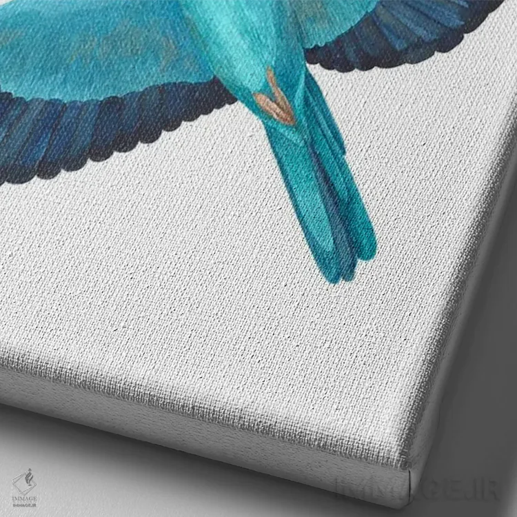 تابلو دکوراتیو دو غلت زن اروپایی در پرواز اثر کارینا دانیلچوک - نمای نزدیک بافت بوم