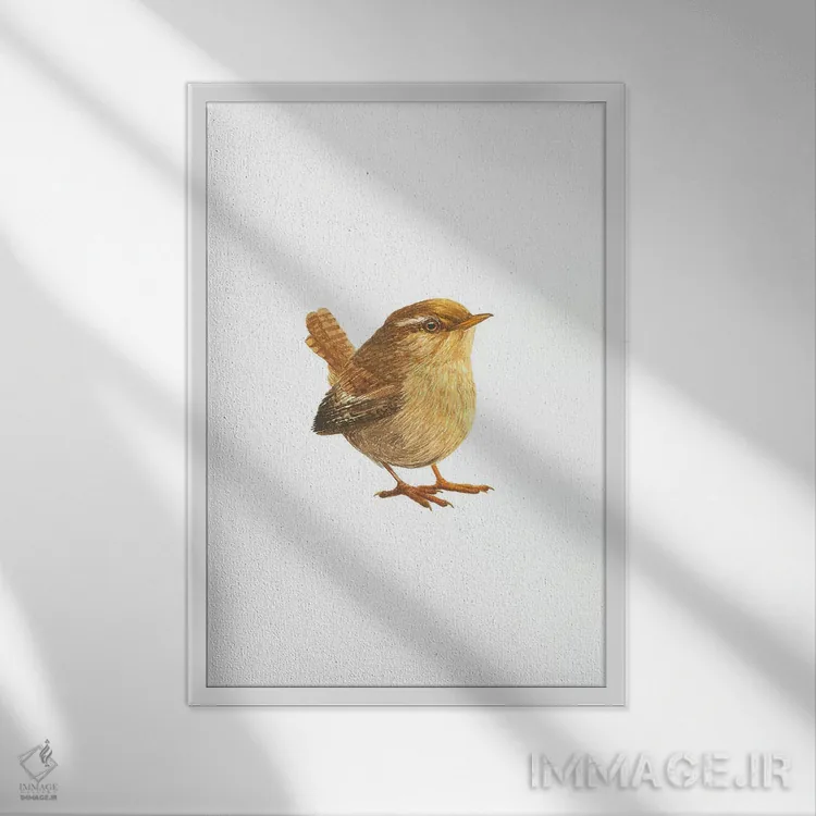 تابلو دکوراتیو فنچ کوچک اوراسیایی اثر کارینا دانیلچوک - نمای قابدار سفید