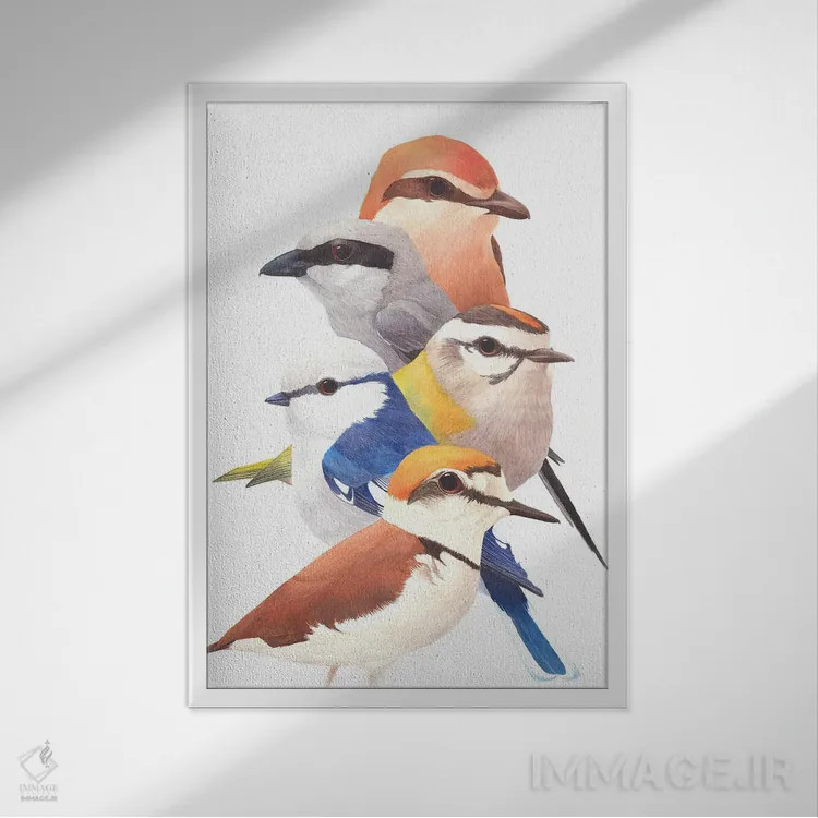 تابلو دکوراتیو پنج پرنده اثر کارینا دانیلچوک - نمای قابدار سفید