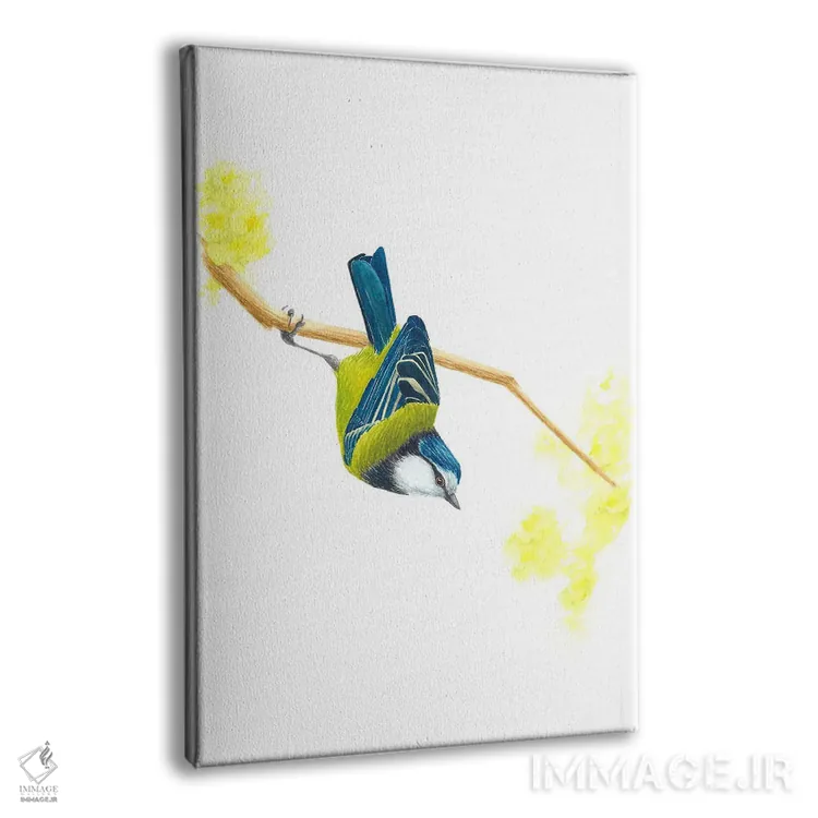 تابلو دکوراتیو فنچ آبی اثر کارینا دانیلچوک - نمای پرسپکتیو محصول