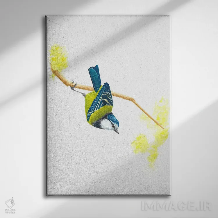 تابلو دکوراتیو فنچ آبی اثر کارینا دانیلچوک - نمای روبهرو روی دیوار