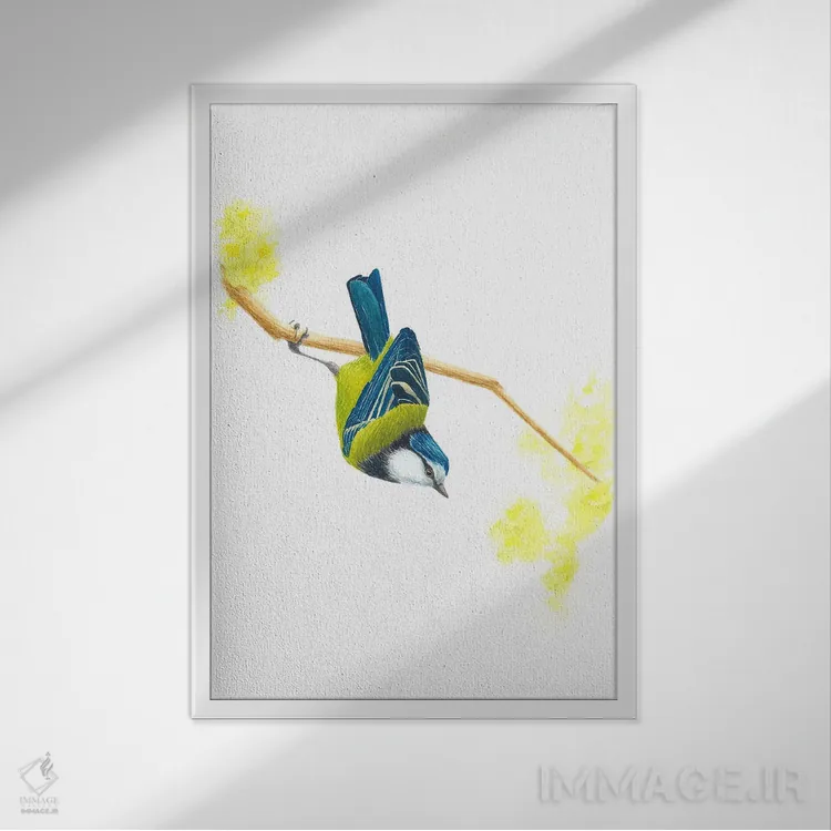 تابلو دکوراتیو فنچ آبی اثر کارینا دانیلچوک - نمای قابدار سفید